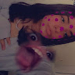 Meet your Posher, Rose